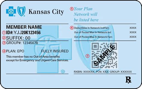 Live Healthy With Blue KC .